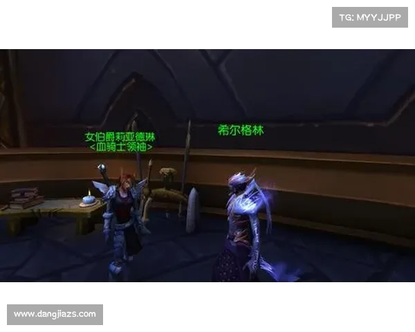 战袍在夜精灵文化中的象征意义与社会角色深度剖析